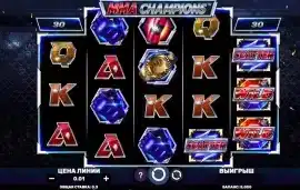 MMA Champions